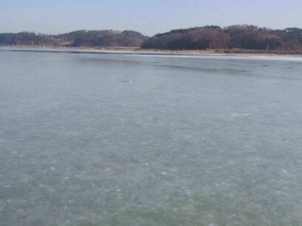 서산 무장리수로 얼음낚시 (조황조행기 - 낚시점조황)
