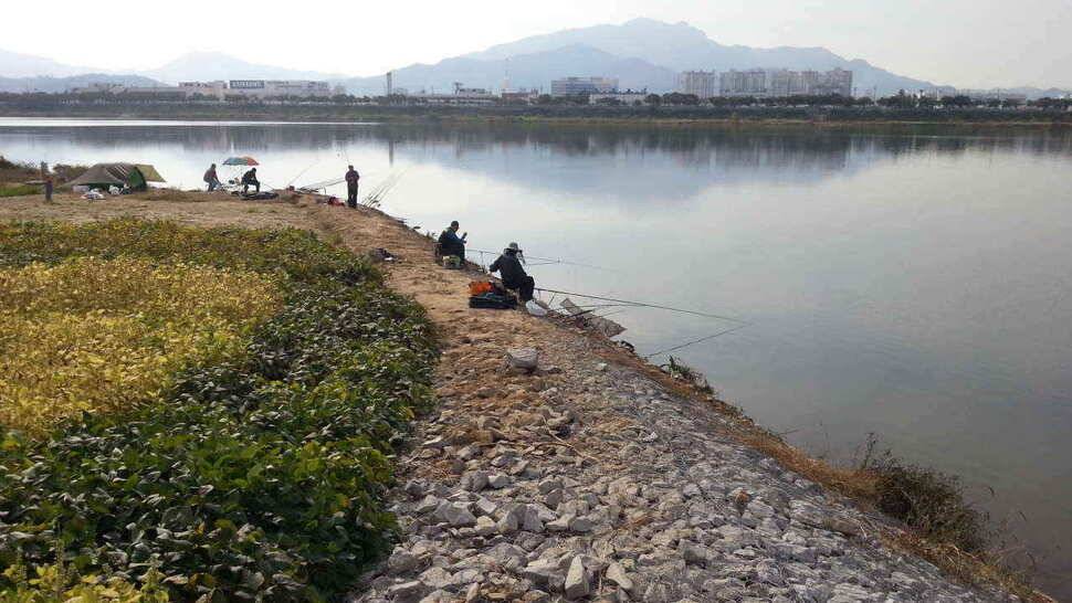 구미권 저수지 및 낙동강조황 (조황조행기 - 낚시점조황)