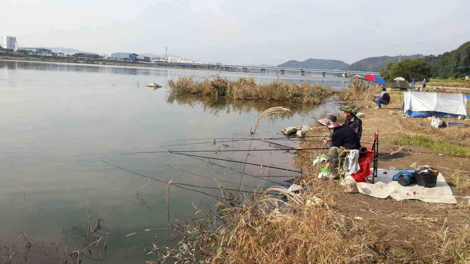 구미권 저수지 및 낙동강조황 (조황조행기 - 낚시점조황)