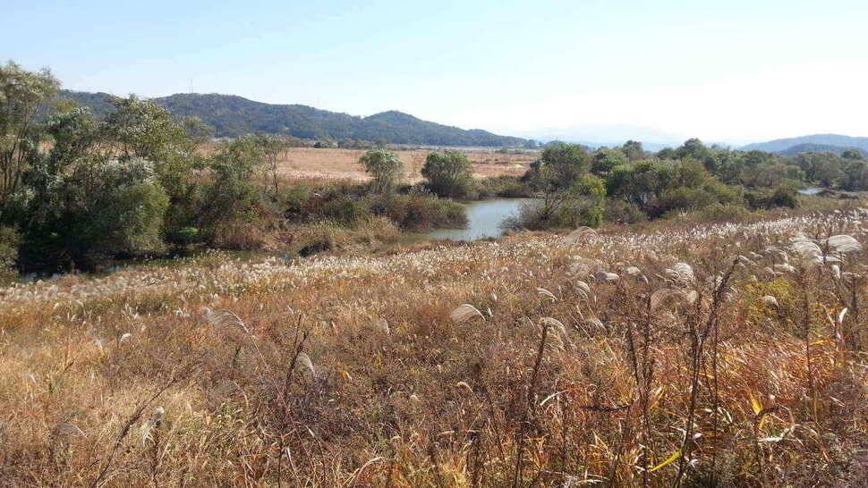구미권 저수지 및 낙동강조황 (조황조행기 - 낚시점조황)