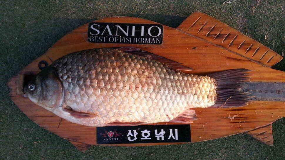 구미권 저수지 및 낙동강조황 (조황조행기 - 낚시점조황)
