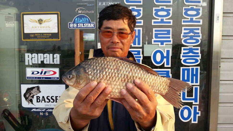 구미권 저수지 및 낙동강조황 (조황조행기 - 낚시점조황)