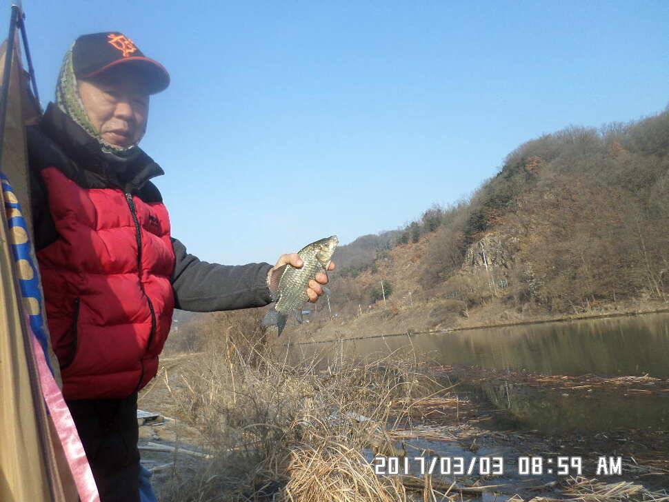 충주 탄금호 낚시조황 (조황조행기 - 낚시점조황)
