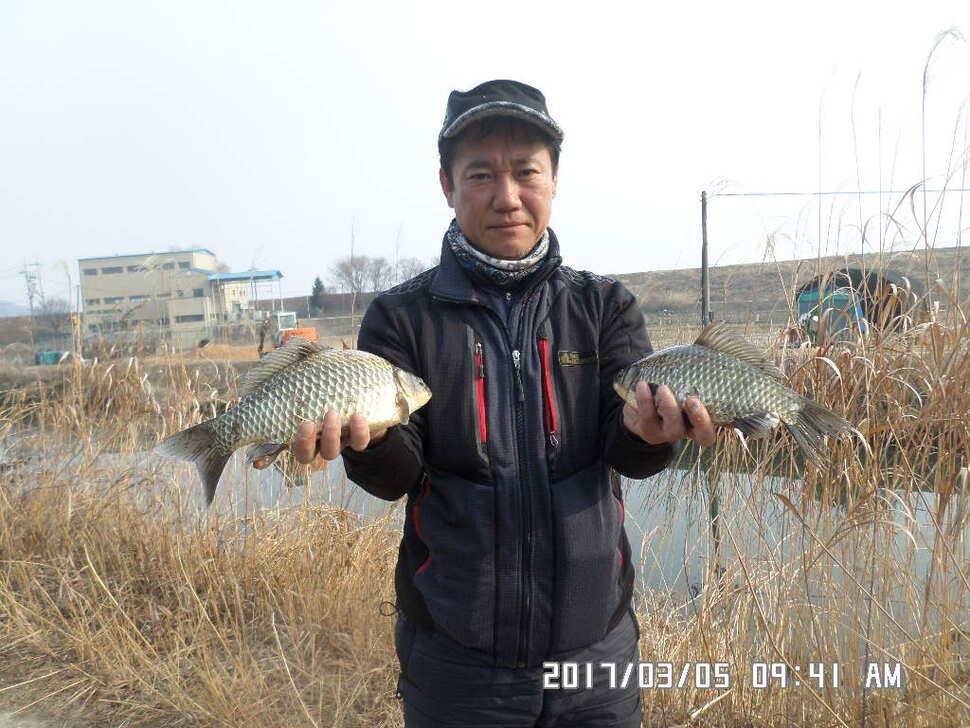 충주 탄금호 낚시조황 (조황조행기 - 낚시점조황)