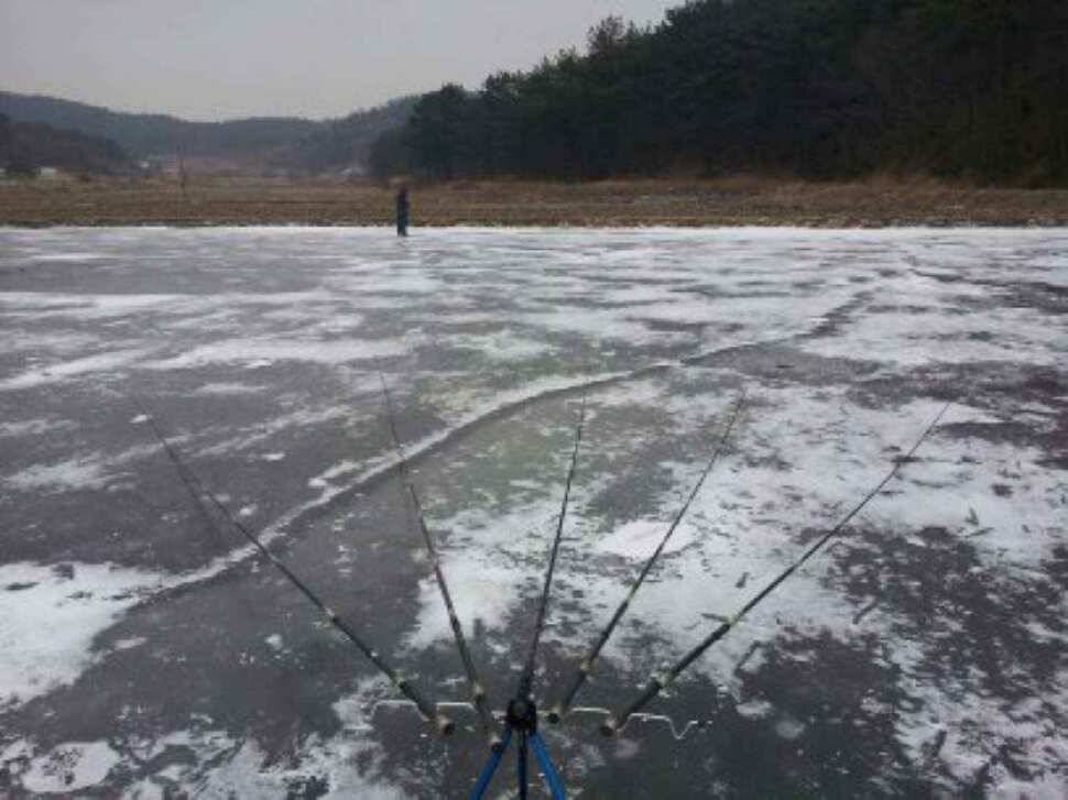 서태안권 얼음낚시 출조시 참고하세요 (조황조행기 - 낚시점조황)