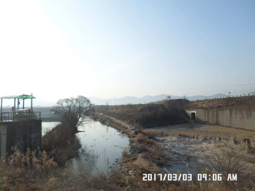 충주 탄금호 낚시조황 (조황조행기 - 낚시점조황)