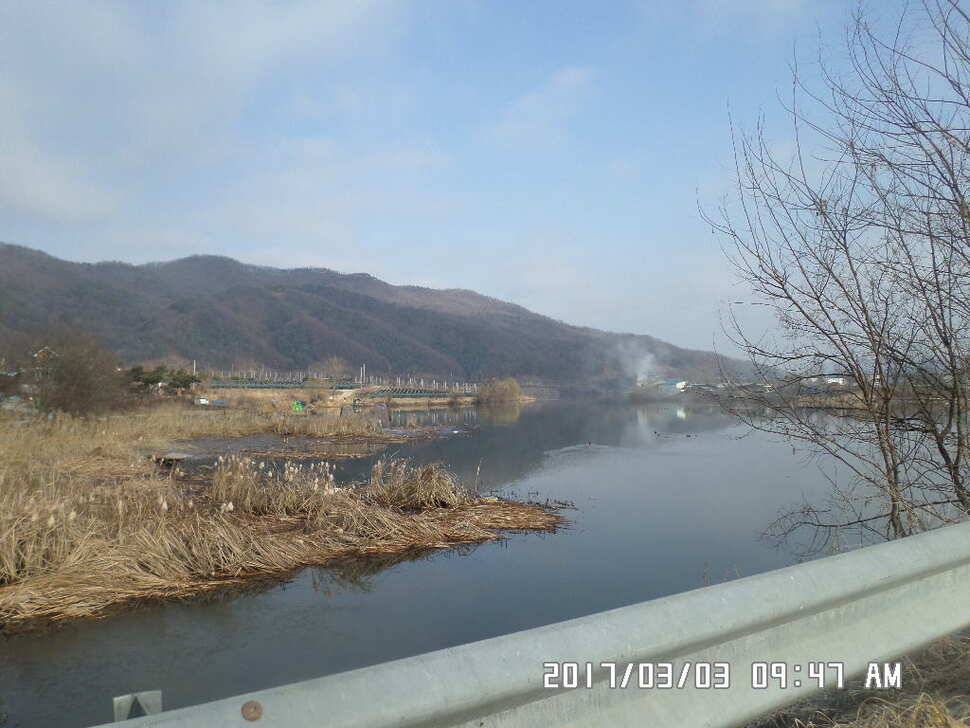 충주 탄금호 낚시조황 (조황조행기 - 낚시점조황)