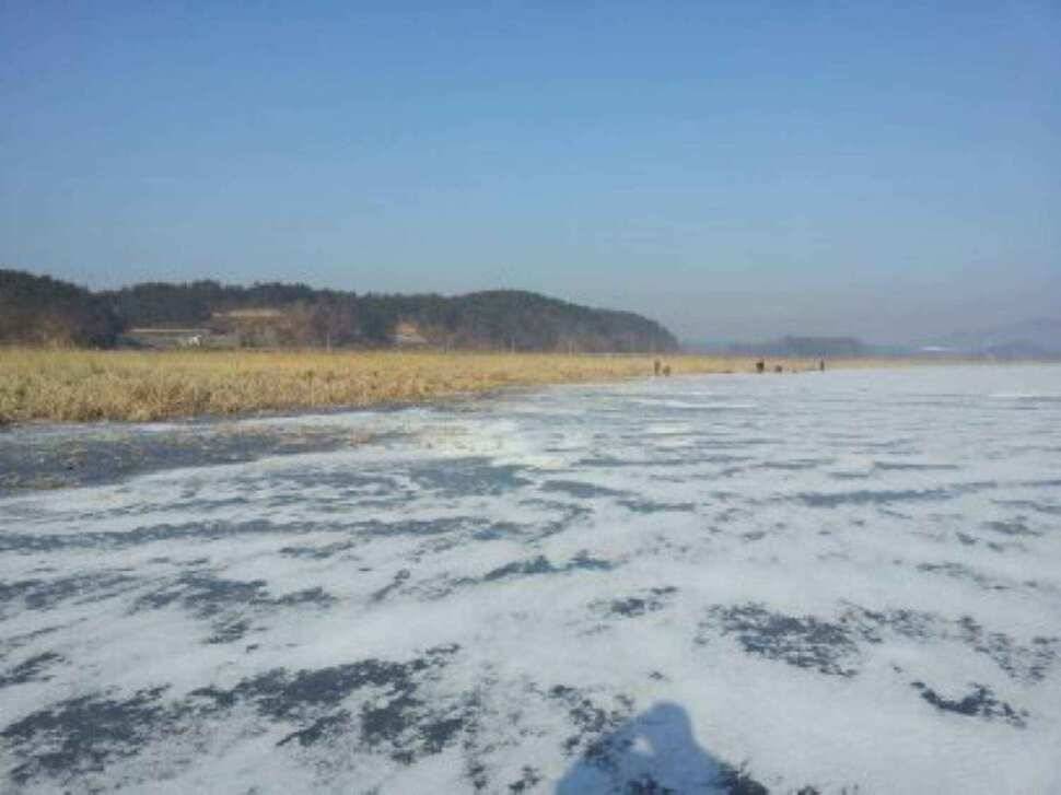 서태안권 얼음낚시 출조시 참고하세요 (조황조행기 - 낚시점조황)