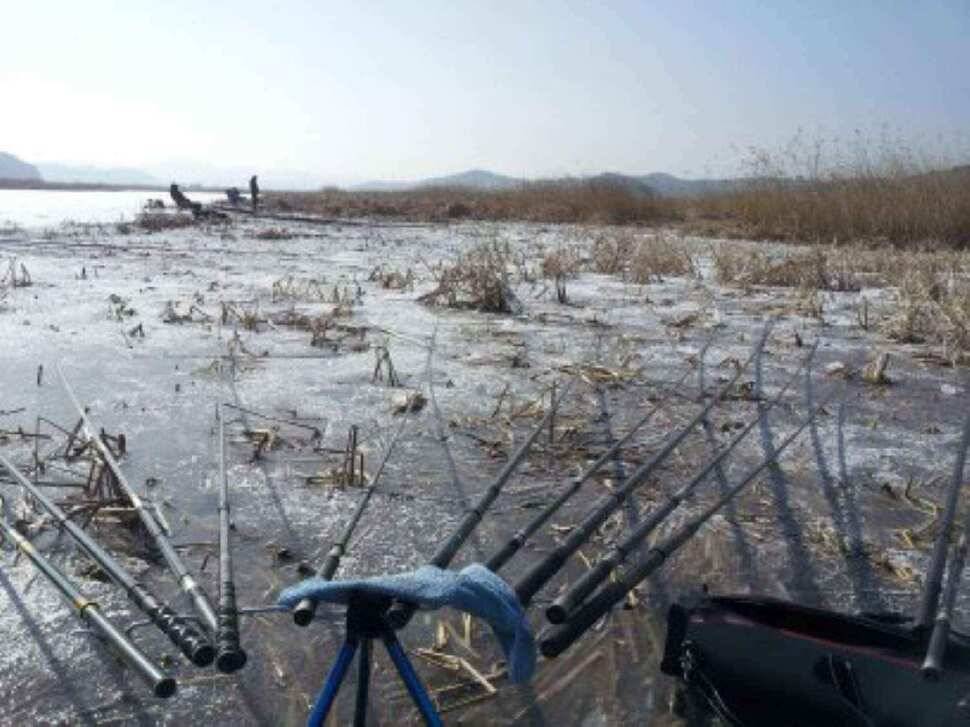 서태안권 얼음낚시 출조시 참고하세요 (조황조행기 - 낚시점조황)
