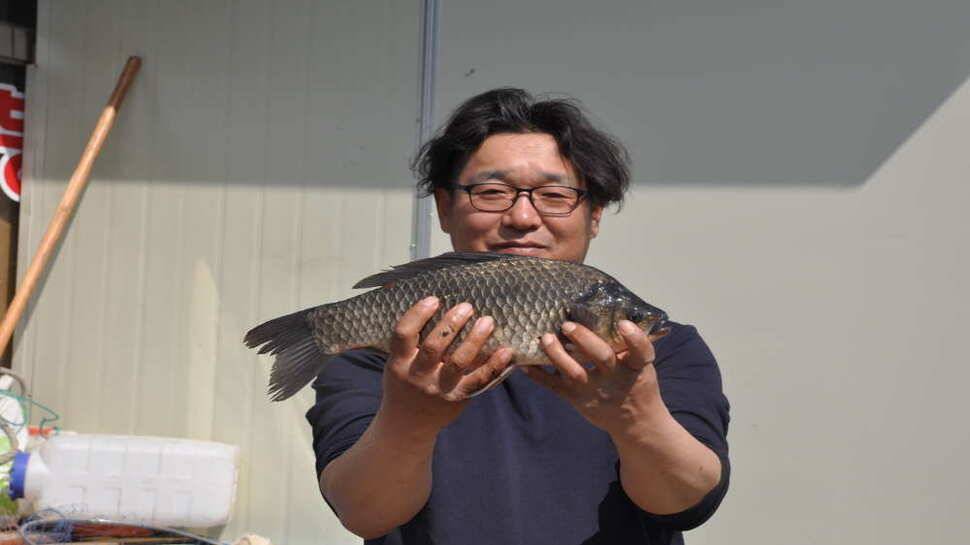 창녕권 52 51 48 4짜마릿수 (조황조행기 - 낚시점조황)