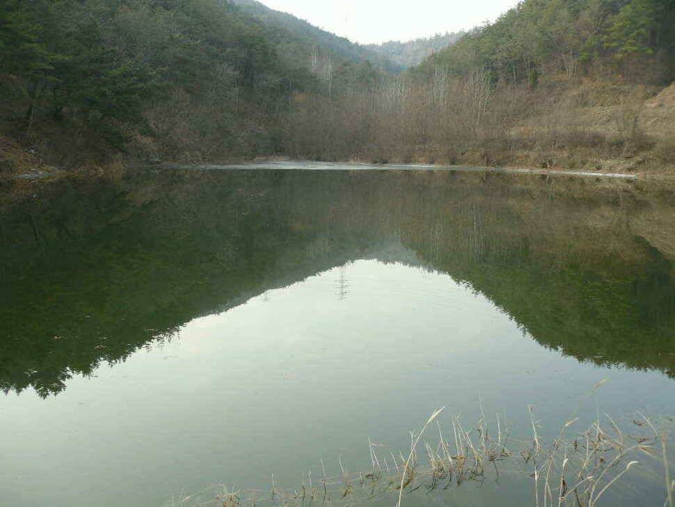구미권 저수지 상황입니다 (조황조행기 - 낚시점조황)