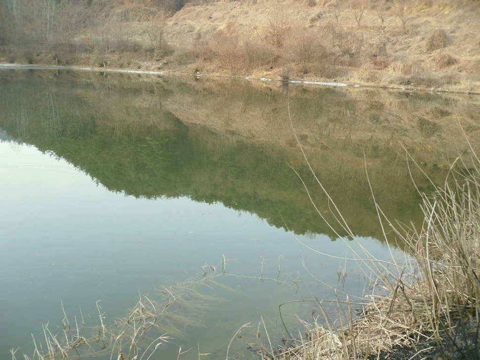 구미권 저수지 상황입니다 (조황조행기 - 낚시점조황)
