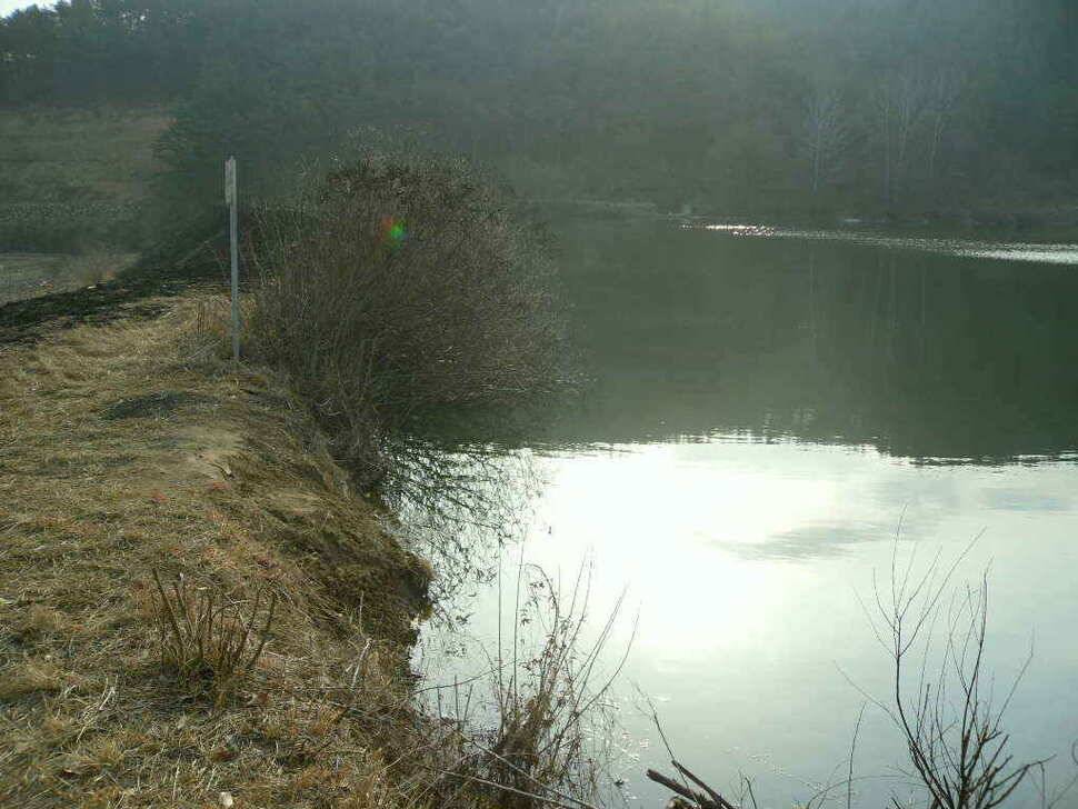 구미권 저수지 상황입니다 (조황조행기 - 낚시점조황)
