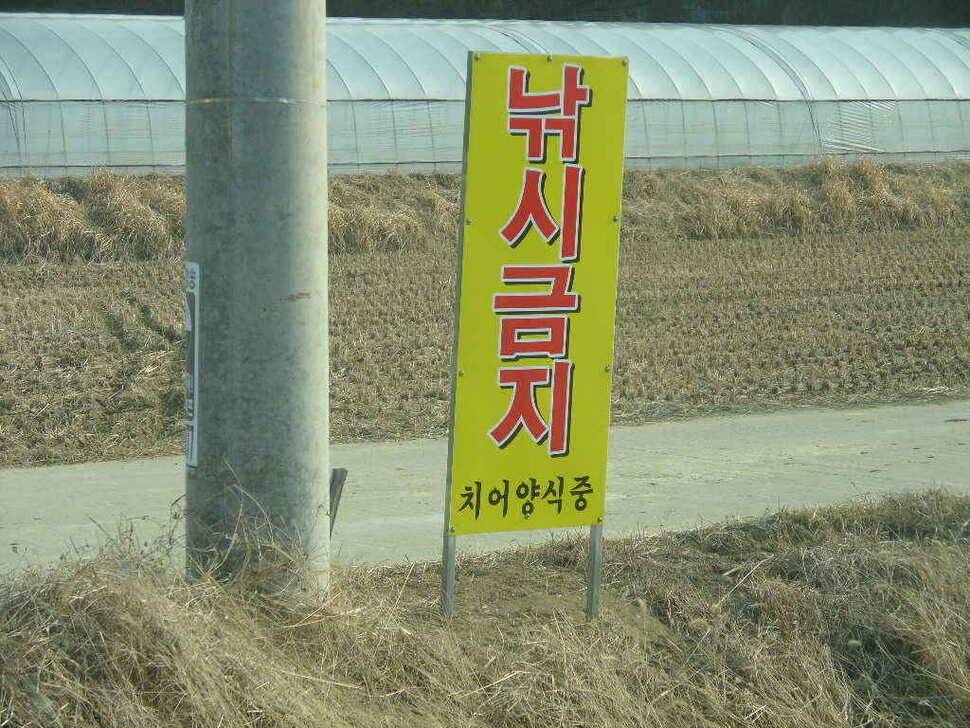 구미권 저수지 상황입니다 (조황조행기 - 낚시점조황)