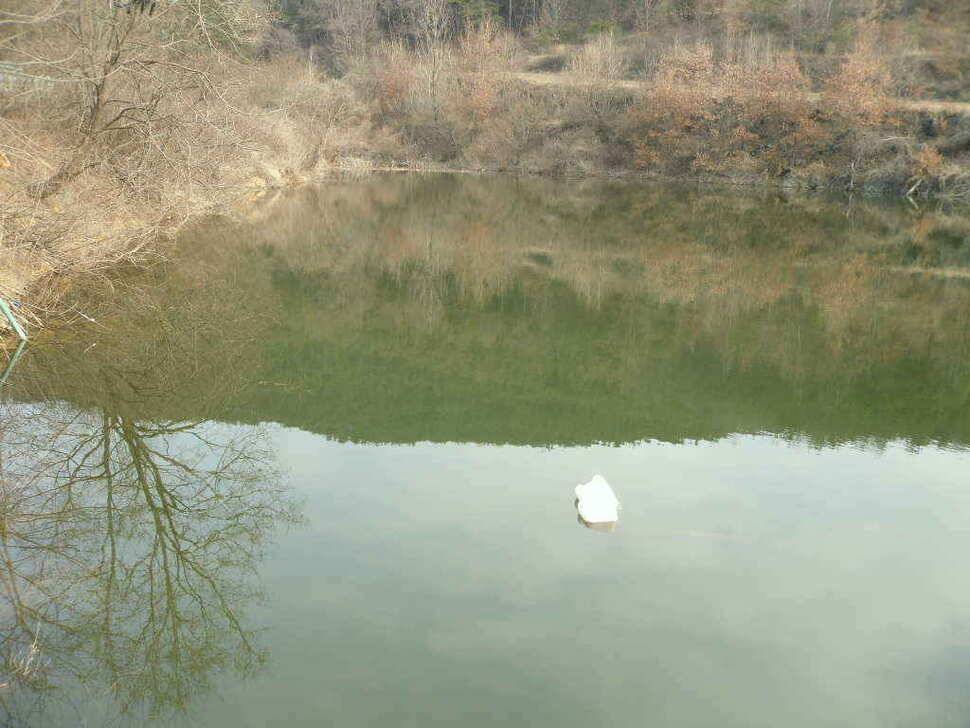 구미권 저수지 상황입니다 (조황조행기 - 낚시점조황)