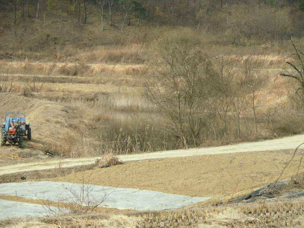 구미권 저수지 상황입니다 (조황조행기 - 낚시점조황)