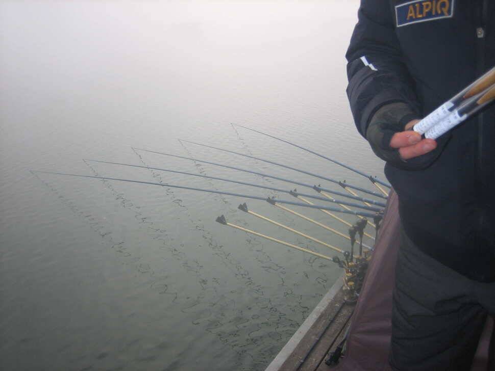 충주탄금호낚시새해 첫4짜 대물조황41cm (조황조행기 - 낚시점조황)