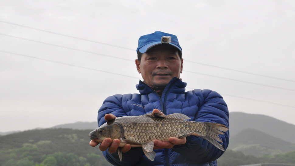 창녕권 52 51 48 4짜마릿수 (조황조행기 - 낚시점조황)