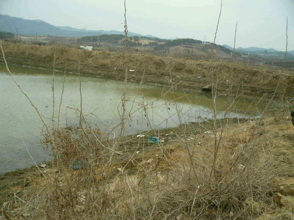 구미권 저수지 상황입니다 (조황조행기 - 낚시점조황)