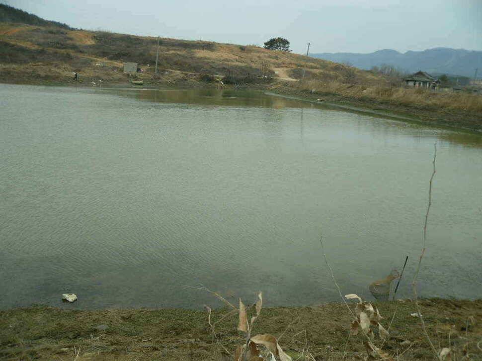 구미권 저수지 상황입니다 (조황조행기 - 낚시점조황)