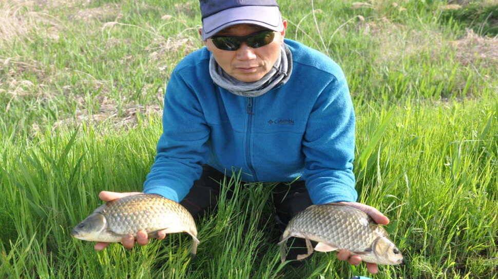 창녕권 52 51 48 4짜마릿수 (조황조행기 - 낚시점조황)