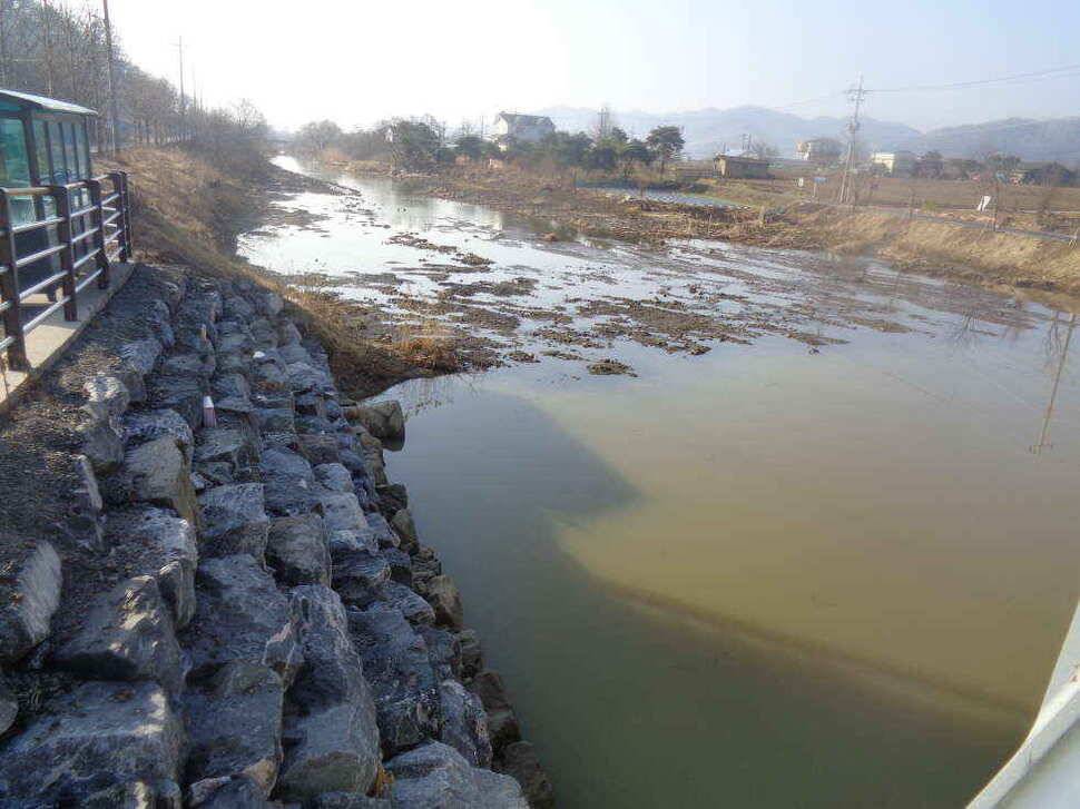 조황조행기 > 낚시점 조황 > 이박사 조황 정보.