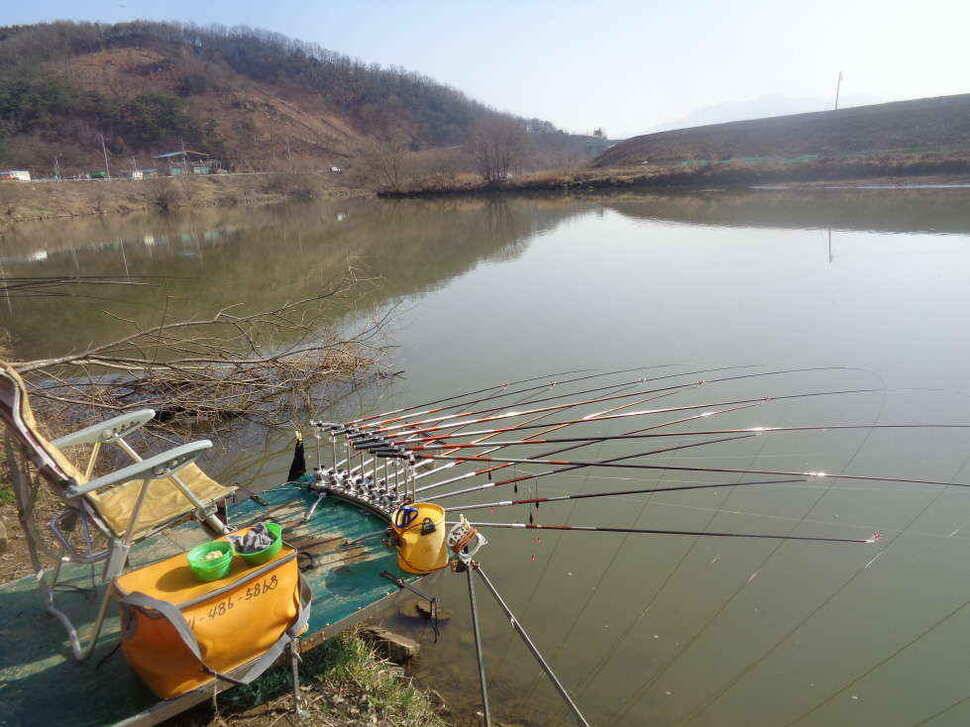 조황조행기 > 낚시점 조황 > 이박사 조황 정보.