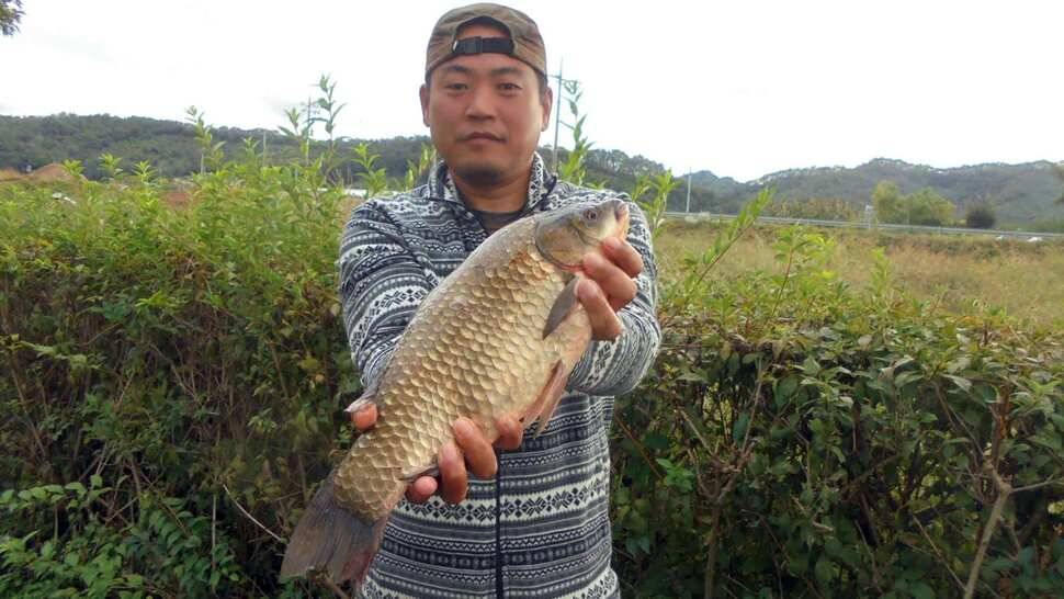 입석및 주변조황 (조황조행기 - 낚시점조황)