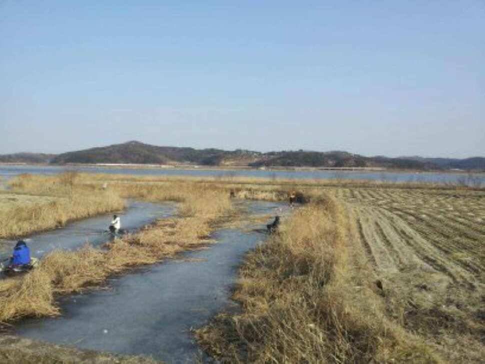 서태안권 얼음낚시 (조황조행기 - 낚시점조황)