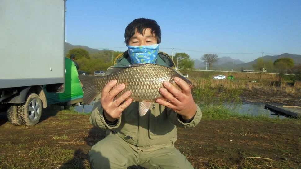입석및 월상권 사짜조황 (조황조행기 - 낚시점조황)