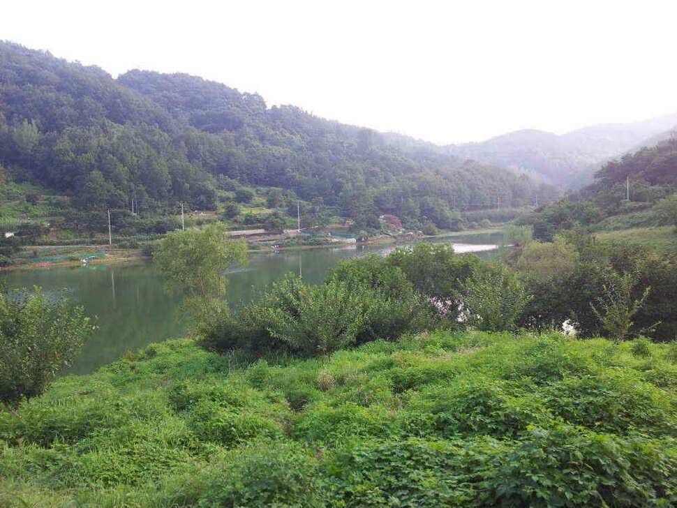 청도권 주말 조황입니다 (조황조행기 - 낚시점조황)