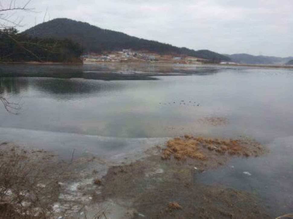 서태안권 얼음낚시 대박조황 (조황조행기 - 낚시점조황)