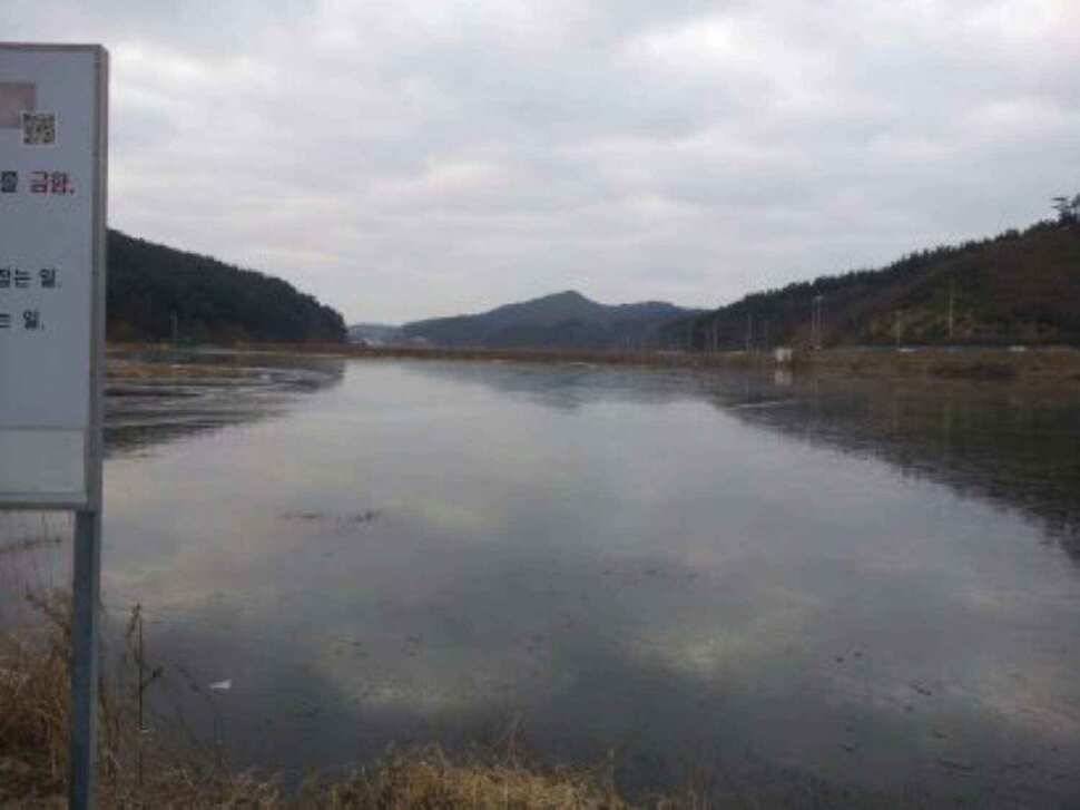 서태안권 얼음낚시 대박조황 (조황조행기 - 낚시점조황)
