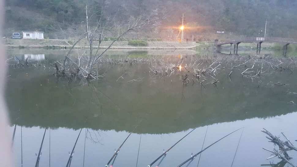 음성권 조황 (조황조행기 - 낚시점조황)