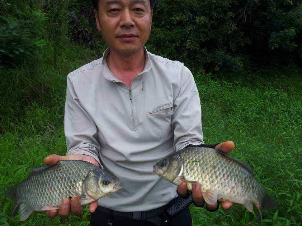 청도권 조황입니다 (조황조행기 - 낚시점조황)