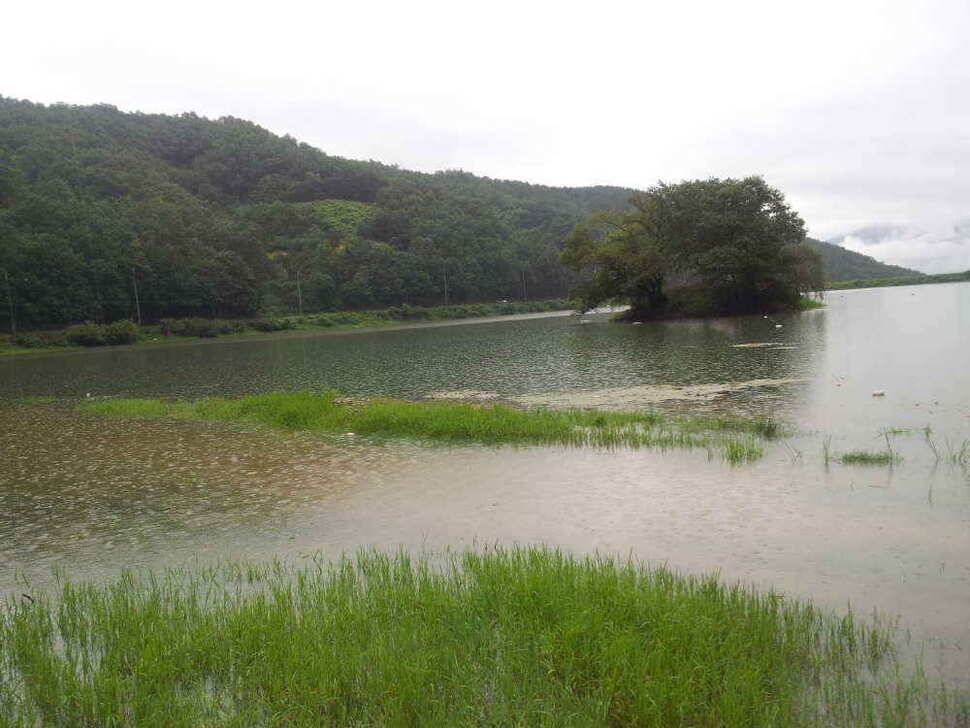 청도권 조황입니다 (조황조행기 - 낚시점조황)
