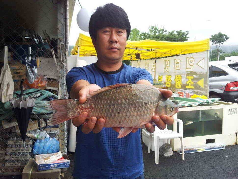 청도권 조황입니다 (조황조행기 - 낚시점조황)