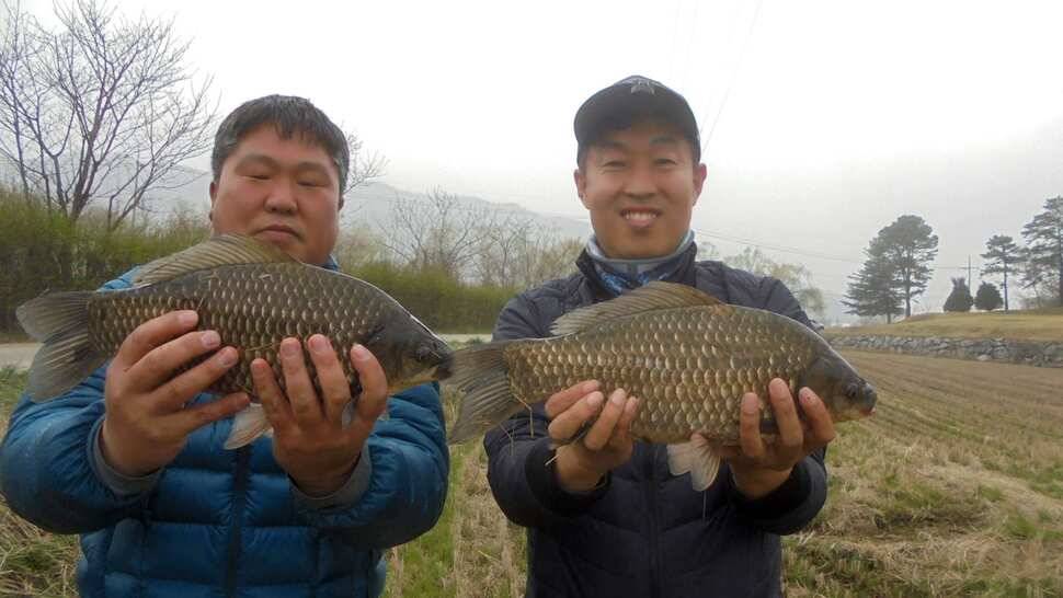 계속되는 대물조황 (조황조행기 - 낚시점조황)