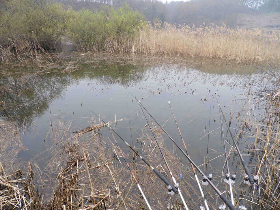 용인및안성권조황 (조황조행기 - 낚시점조황)