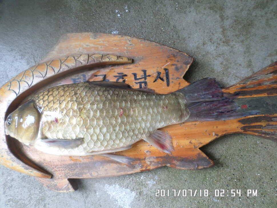 탄금호낚시대물425cm조황 (조황조행기 - 낚시점조황)