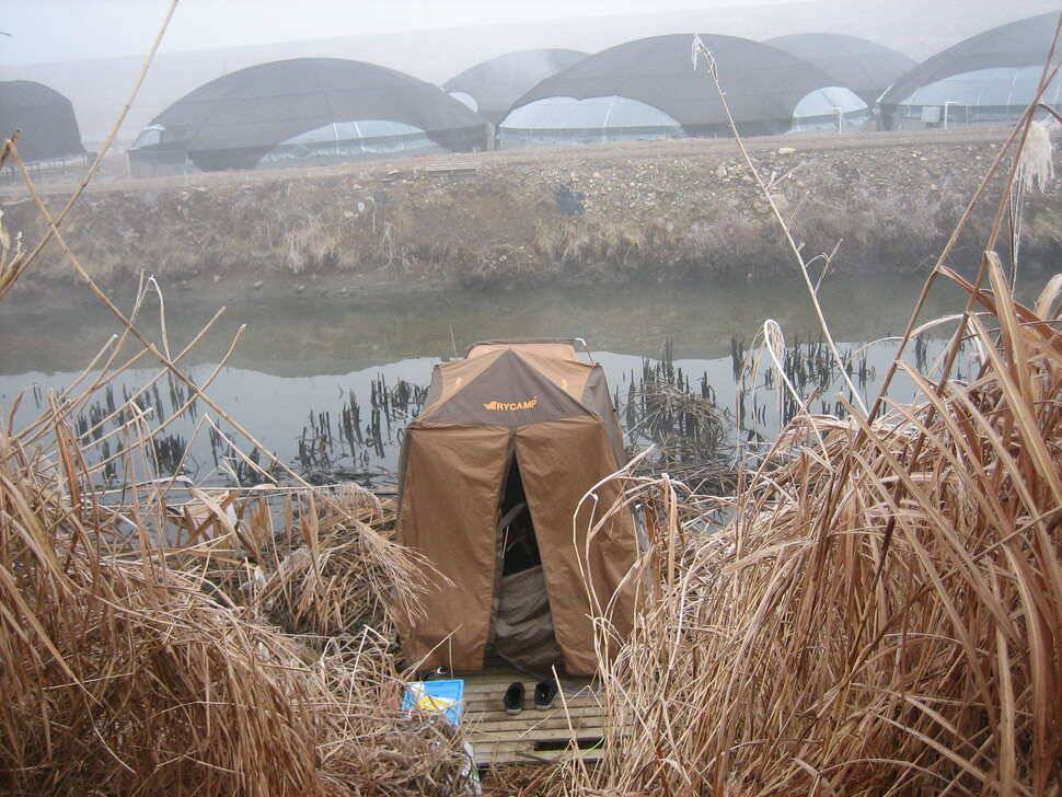 충주탄금호낚시조황 (조황조행기 - 낚시점조황)