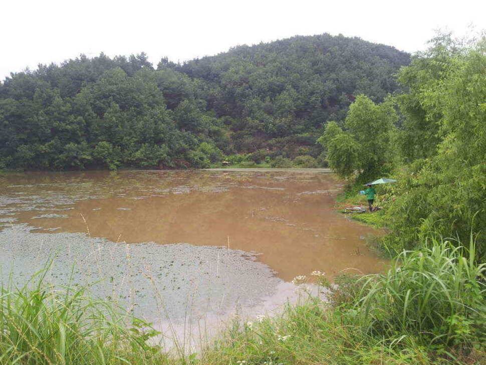 청도권 조황입니다 (조황조행기 - 낚시점조황)