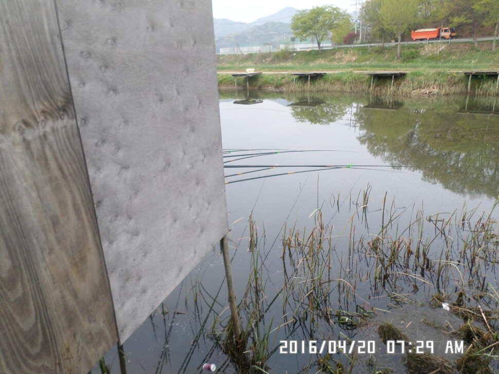충주 탄금호 낚시조황 (조황조행기 - 낚시점조황)