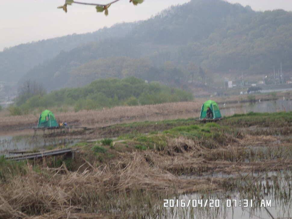 충주 탄금호 낚시조황 (조황조행기 - 낚시점조황)