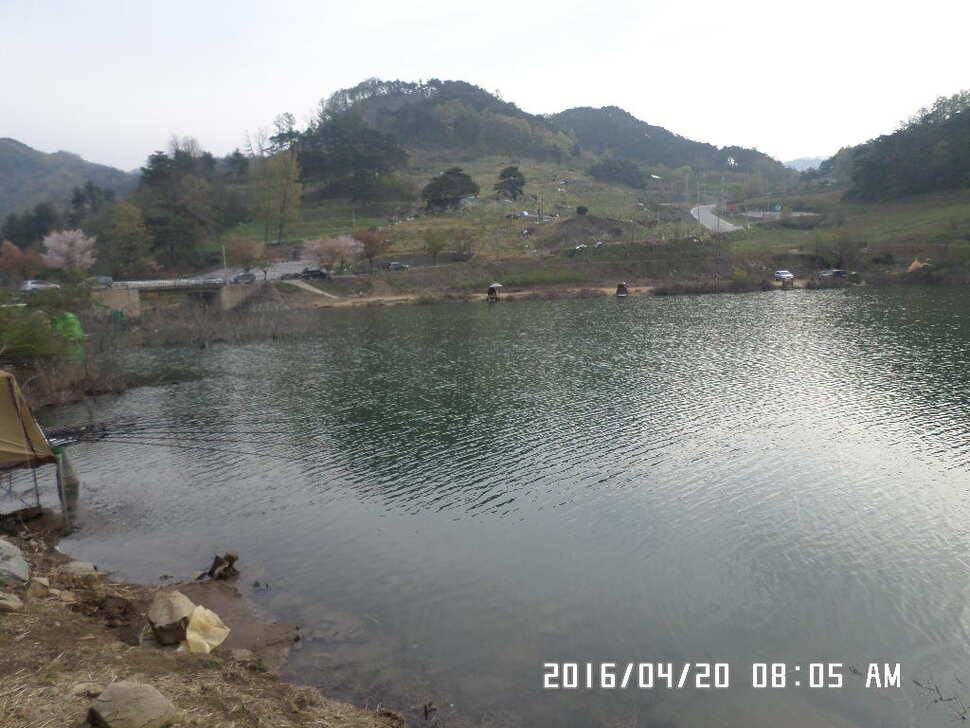 충주 탄금호 낚시조황 (조황조행기 - 낚시점조황)
