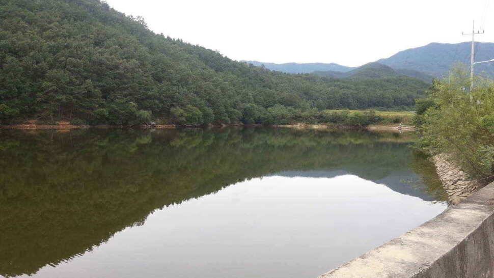 구미 저수지 상황과 낙동강 조황소식 입니다 (조황조행기 - 낚시점조황)