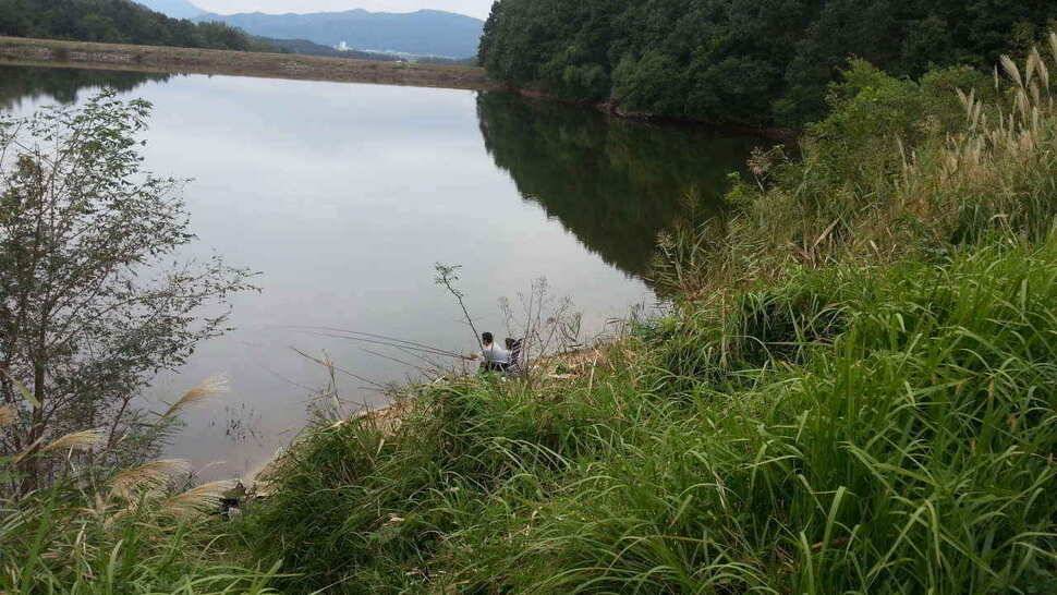 구미 저수지 상황과 낙동강 조황소식 입니다 (조황조행기 - 낚시점조황)