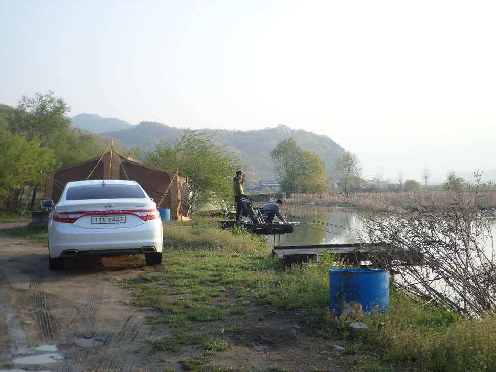 충주 탄금호 낚시조황 (조황조행기 - 낚시점조황)