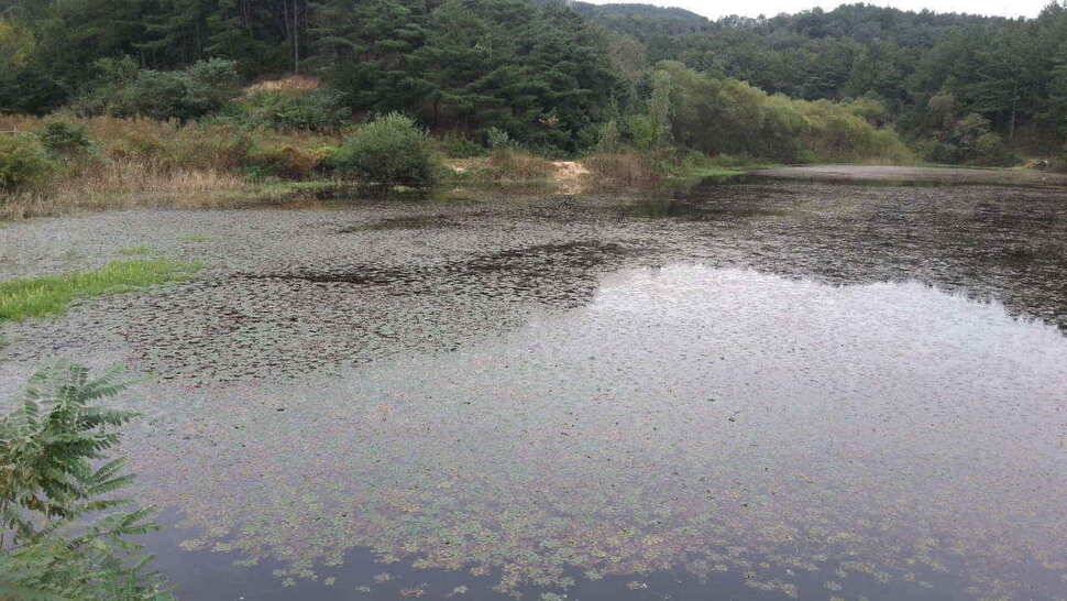 구미 저수지 상황과 낙동강 조황소식 입니다 (조황조행기 - 낚시점조황)