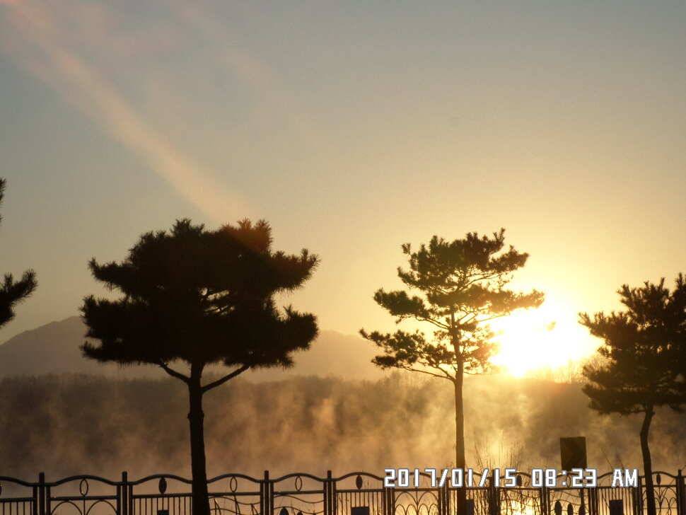 충주 탄금호 낚시조황 (조황조행기 - 낚시점조황)